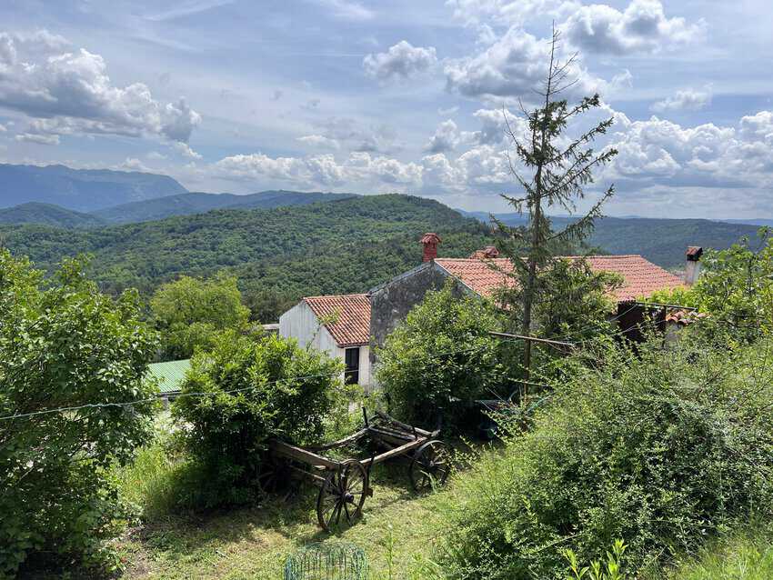 Slovenia: Forests, Vineyards, and Medieval Villages 1 Slovenia is more than 60% Forested Land. Sharon Kurtz