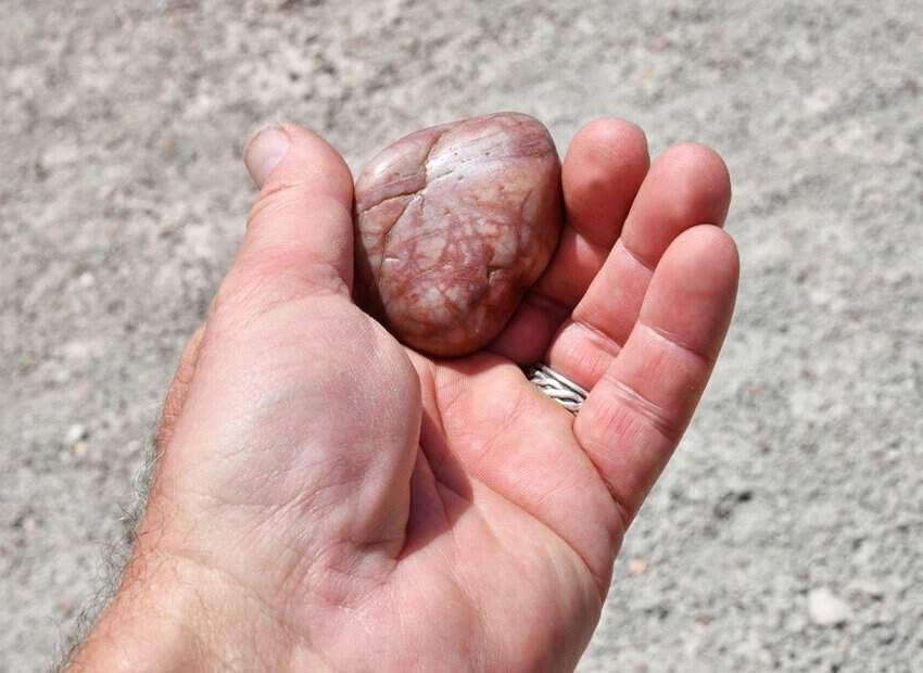 Picket Wire Canyon Adventure 6 Pickwick Wire Canyon gut rock from Dinosaur