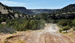 Pickwick Wire Canyon