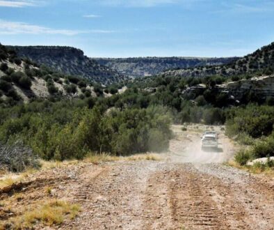 Pickwick Wire Canyon