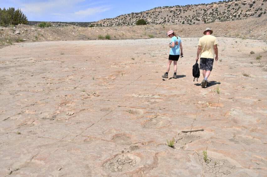 Picket Wire Canyon Adventure 5 Pickwick Canyon Dinosaur tracks