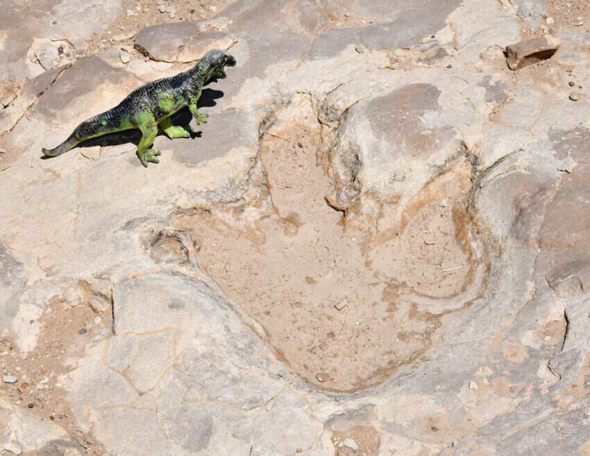 Picket Wire Canyon Adventure 1 Picket Wire Canyon Dinosaur Tracks