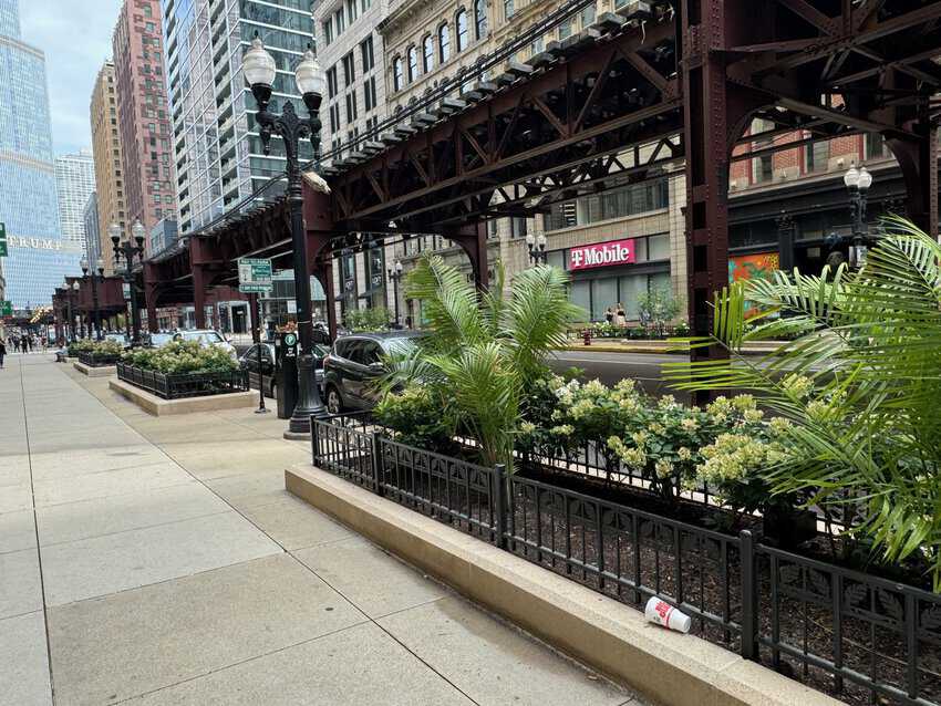 Chicago: The Perfect Weekend Jaunt 5 Downtown Chicago is crazy with flower beds, on almost every major street you find these pretty, well maintained beds.