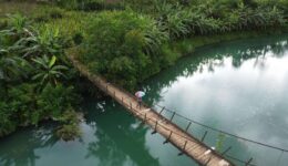 Mekong petels