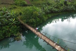 Mekong Chronicles: The River That Shaped Southeast Asia Mekong petels
