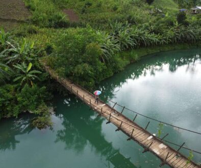 Mekong petels