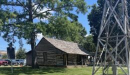 grapevine-cabin