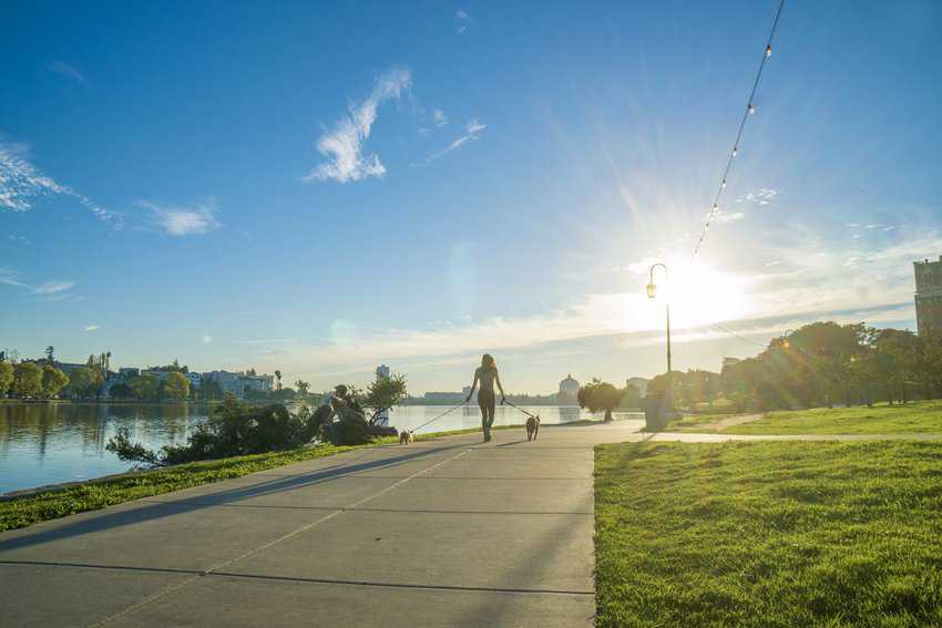 Oakland: Discover the City's Unique Neighborhoods and Cultural Heritage 14 A woman is walking her two furry friends around Lake Merritt on a beautiful day