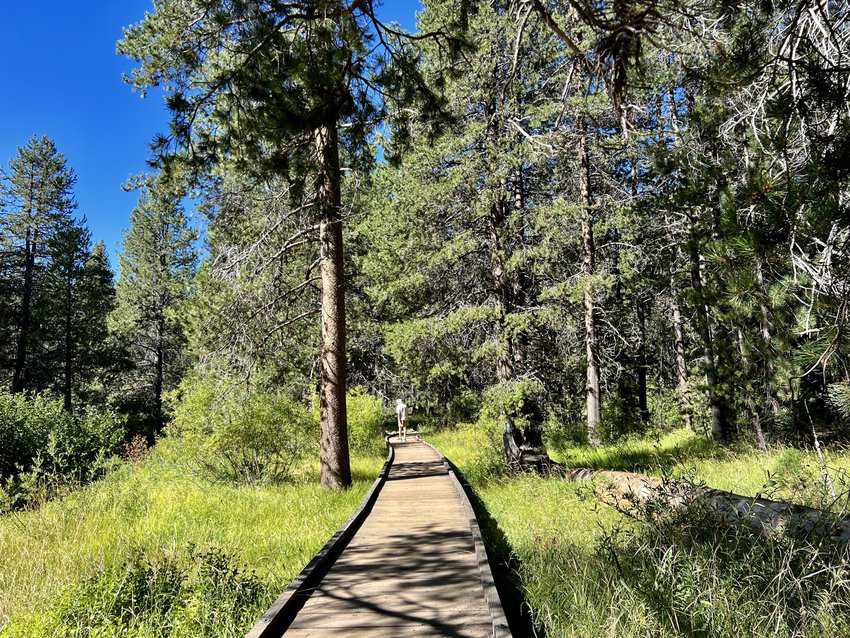 North Lake Tahoe, California 10 Wooden walkway with person hiking surrounded by green pine trees and blue sky.