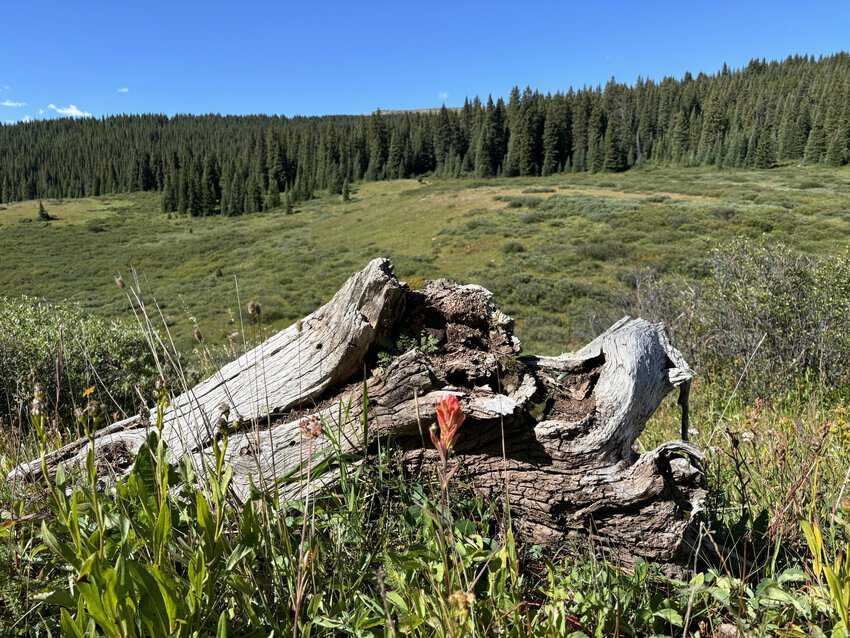 Western Slope