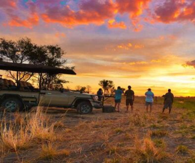 Wherever you choose to stay, when you leave Victoria Falls, it’s guaranteed that a big piece of your soul will stay behind.