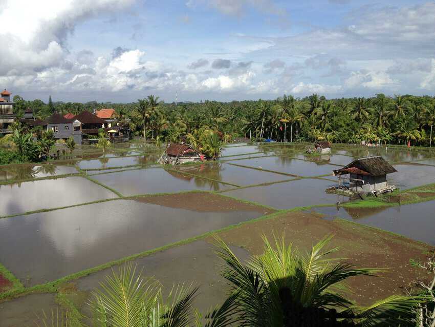 Bali's Ex-pats Bring New Life and Energy 1 View from Permana Cottages in Bali. Brian Blum photos