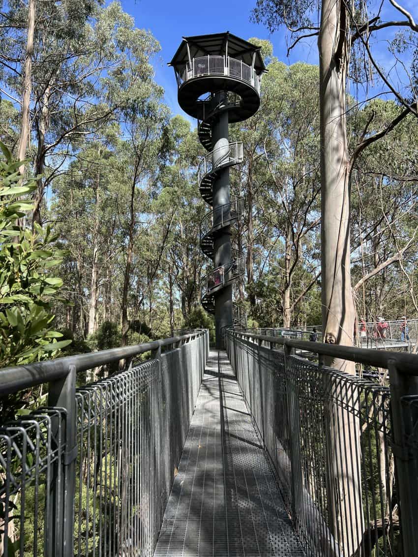 Southern Australia: Cruising Victoria's Coastline 7 Elevated walkways provide unrivalled views of the region's flora and fauna.