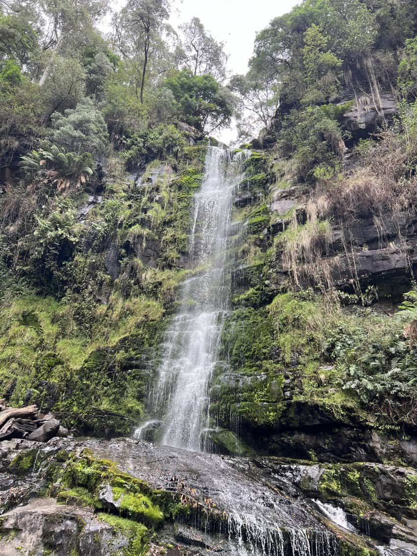 Southern Australia: Cruising Victoria's Coastline 14 Erskine Falls is a fun side attraction not far from the Great Ocean Road.