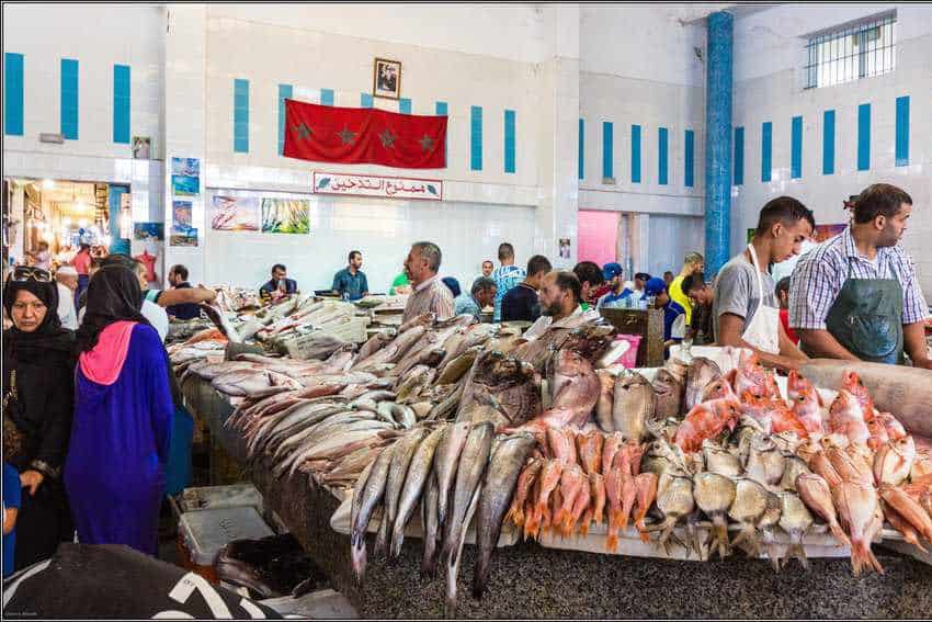 Tangier Tastes: Morocco's Culinary Center 3 Tangier,tangier food tour