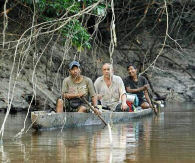 Searching for an anaconda in a lagoon