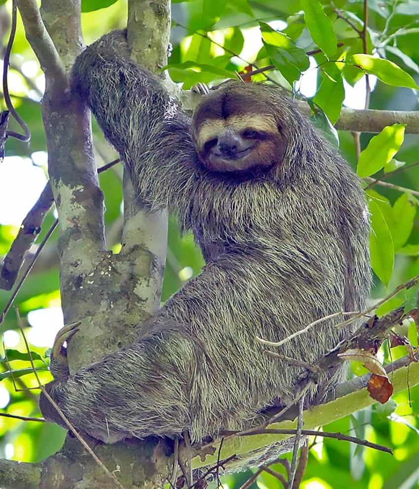 Manuel Antonio National Park