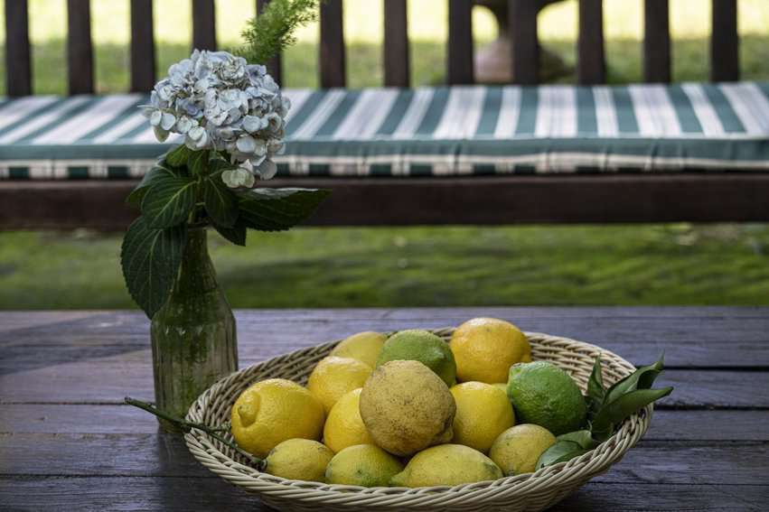 The lemons grown in Sorrento tend to be rounder in shape, possessing an enticing aroma with sweet, thick peels full of essential oils.