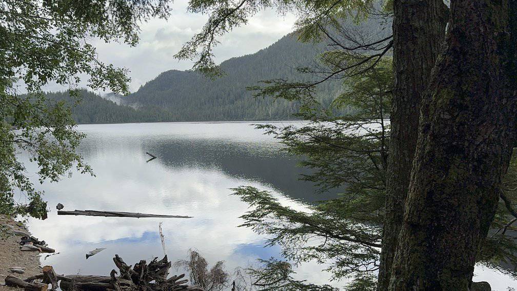 Rain forest e-bike experience offers up great photo ops. Ketchikan 