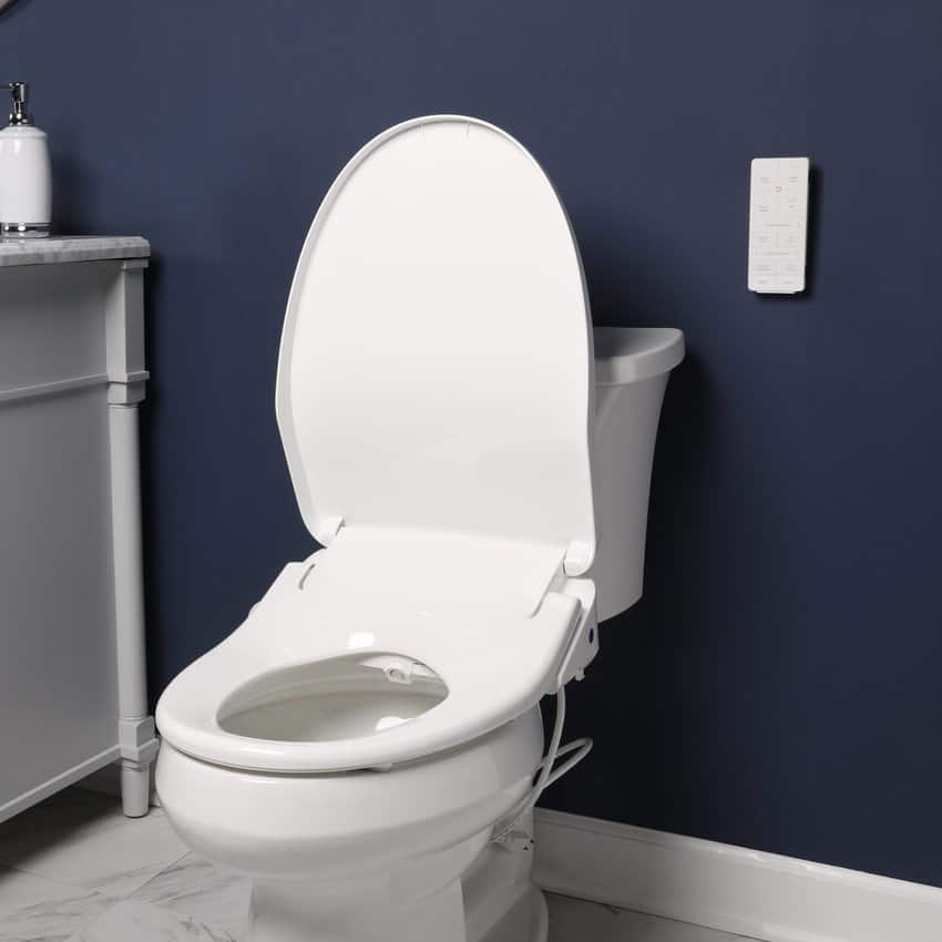 What Else Can You Buy Your Loved Ones? 1 Bemis Biobidet BB1200