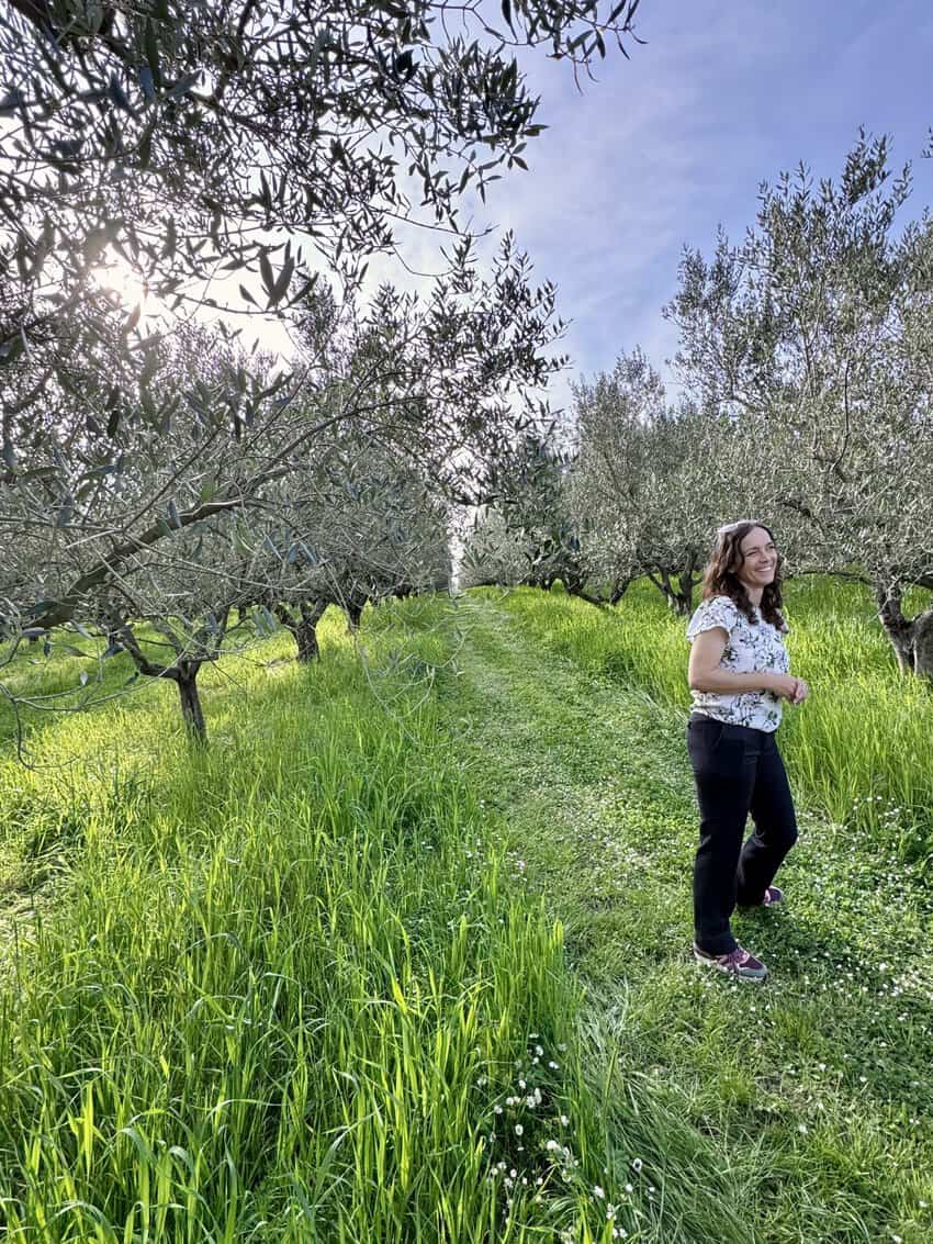 Nina Froggatt among the olive trees in her orchard during a Gramona olive oil tour and tasting. 