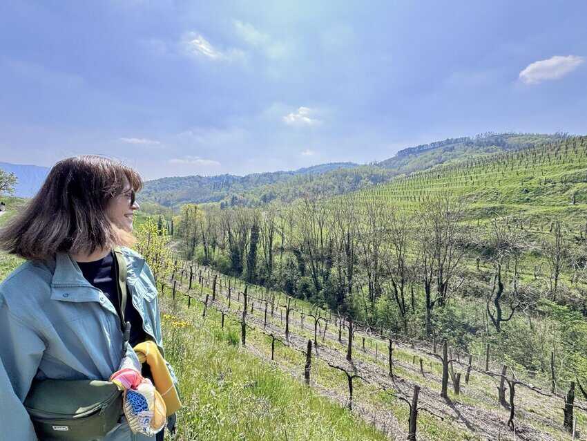 Me, and the grape vines of the Vipava Valley in Slovenia