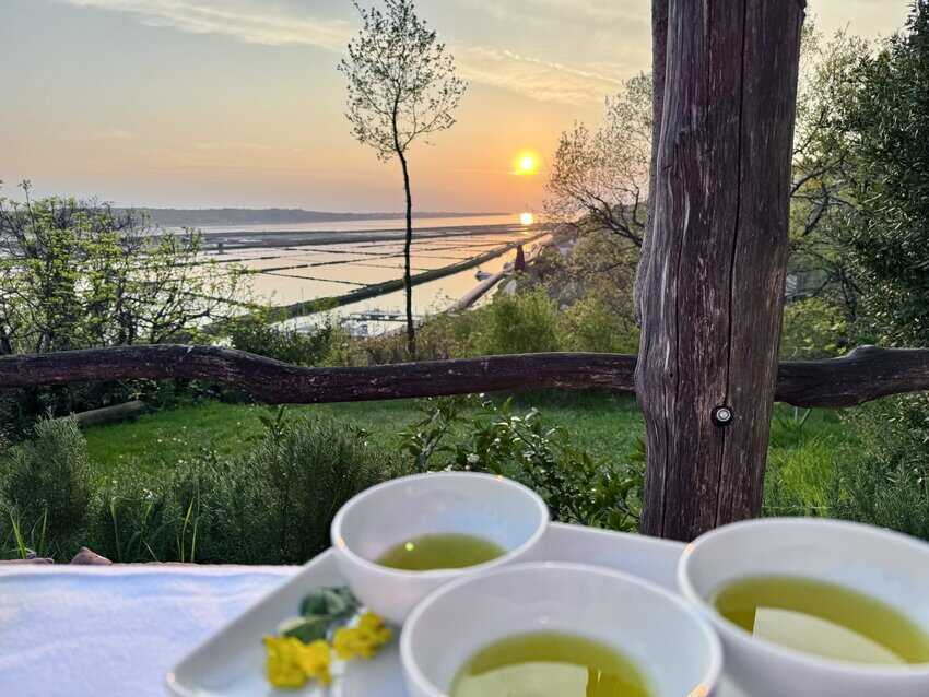 Olive oil picnic at Gramona on the Adriatic coast.