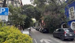 A leafy street a lot like Brooklyn, NY in Roma, Mexico City.