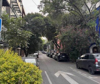 A leafy street a lot like Brooklyn, NY in Roma, Mexico City.