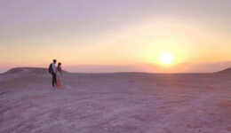 Negev-Desert