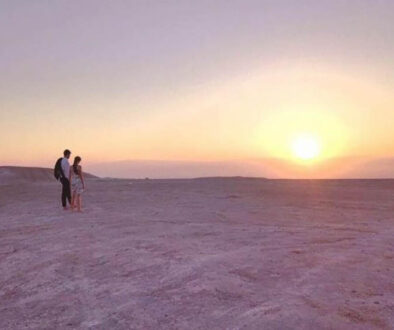 Negev-Desert