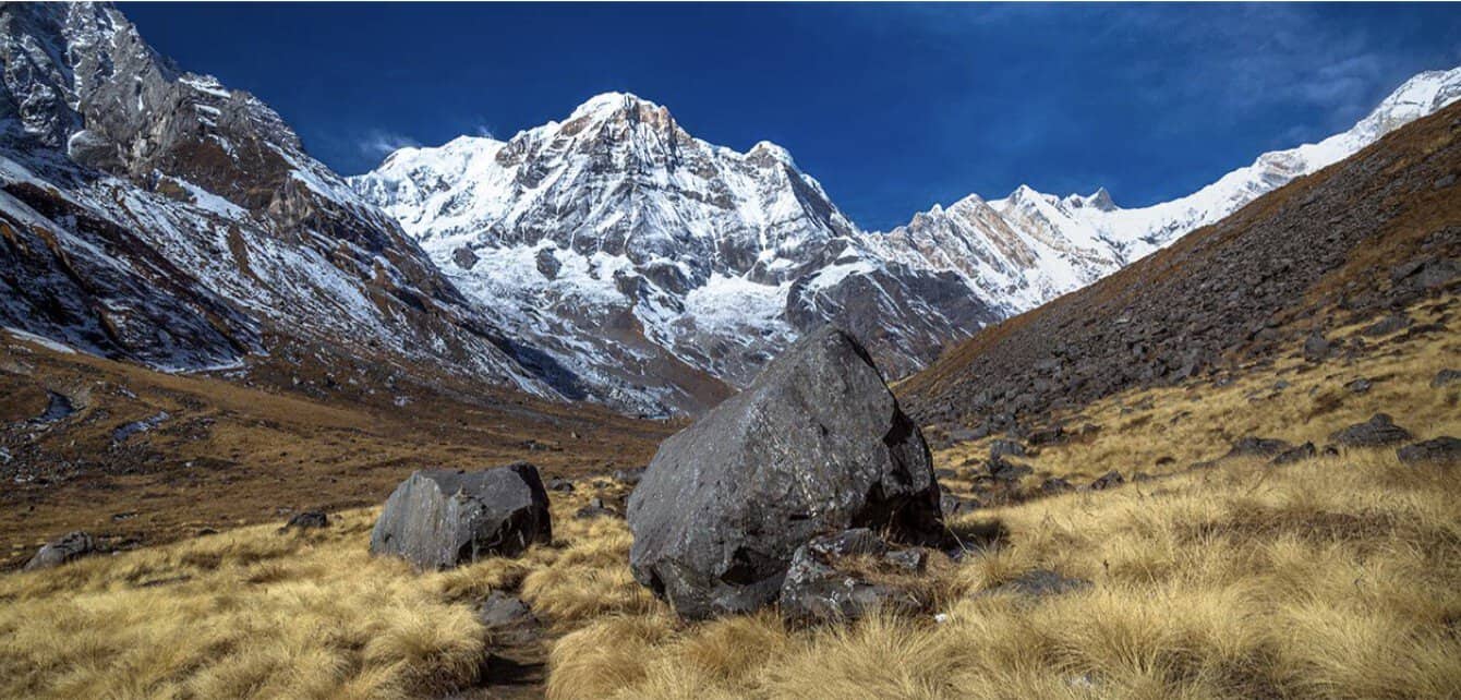 Himalayan